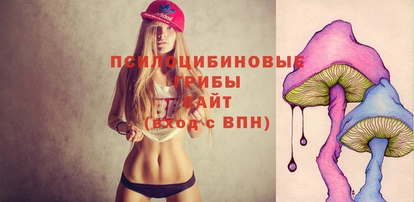 тгк Балахна