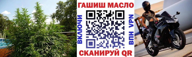 ТГК концентрат  Купить закладки  Старый Крым 