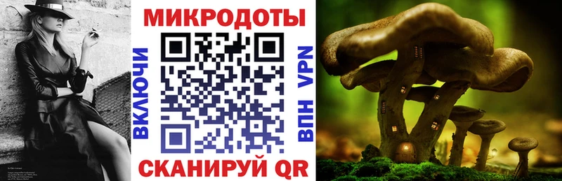 Галлюциногенные грибы Cubensis  Купить  Старый Крым 